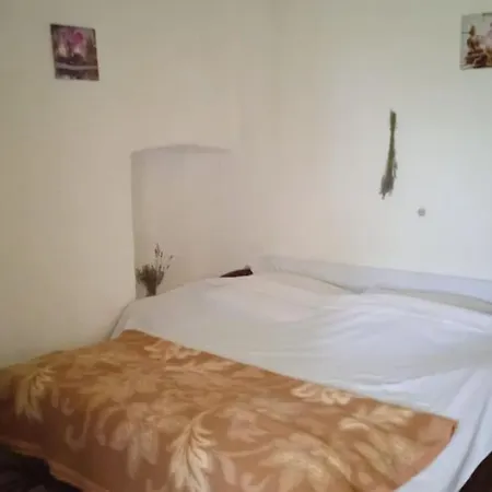 House, 3 Brs, 100 Y Old, 14 Km Np Krka, 35 Km Sea *