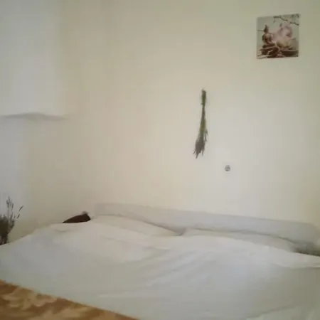 House, 3 Brs, 100 Y Old, 14 Km Np Krka, 35 Km Sea Holiday home