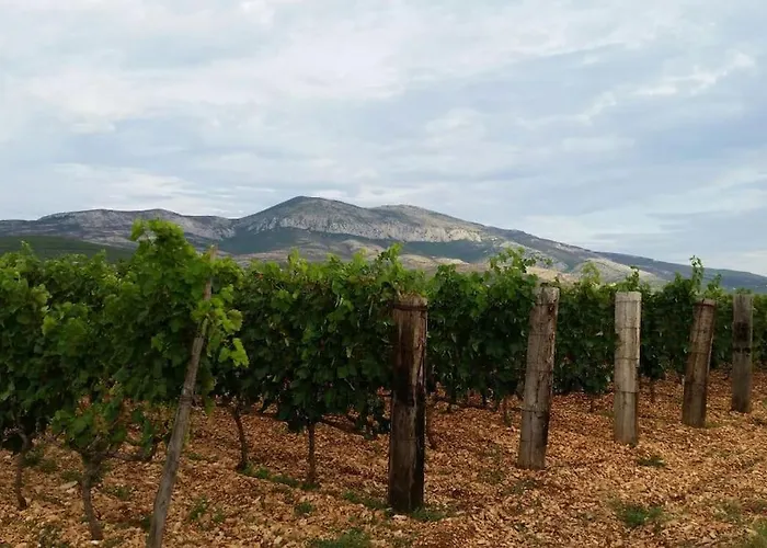 House, 3 Brs, 100 Y Old, 14 Km Np Krka, 35 Km Sea Vakantiehuis Oklaj